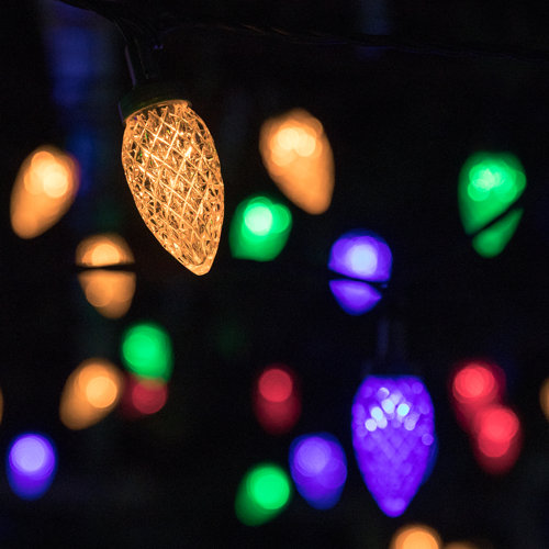 Wayfair Outdoor Christmas Lights You'll Love in 2023